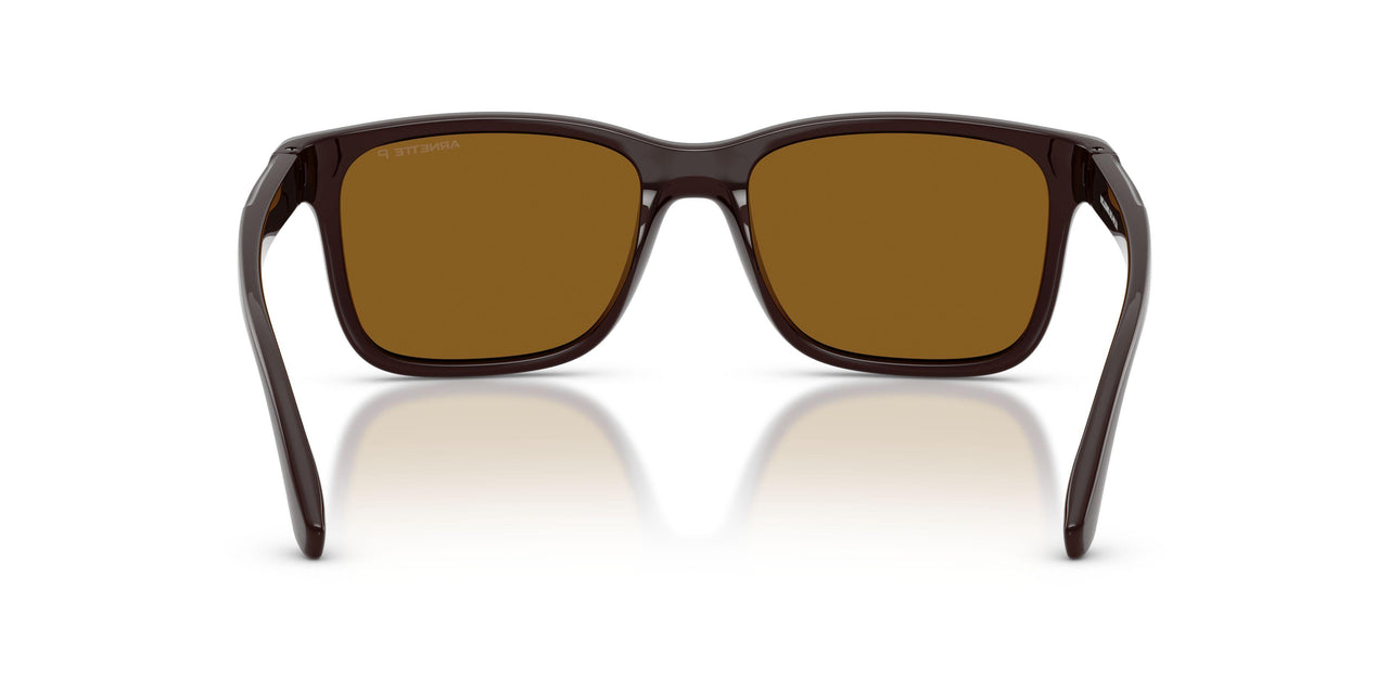302783 - Brown - Dark Brown Polarized