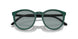 6081/1 - Black - Light Blue