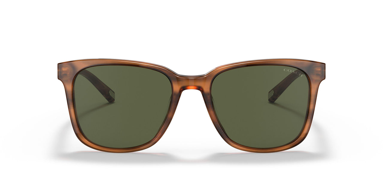 558171 - Light Brown - Dark Green Solid