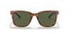 558171 - Light Brown - Dark Green Solid