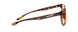 02301 - Tortoise - Amber Neutral-Focus
