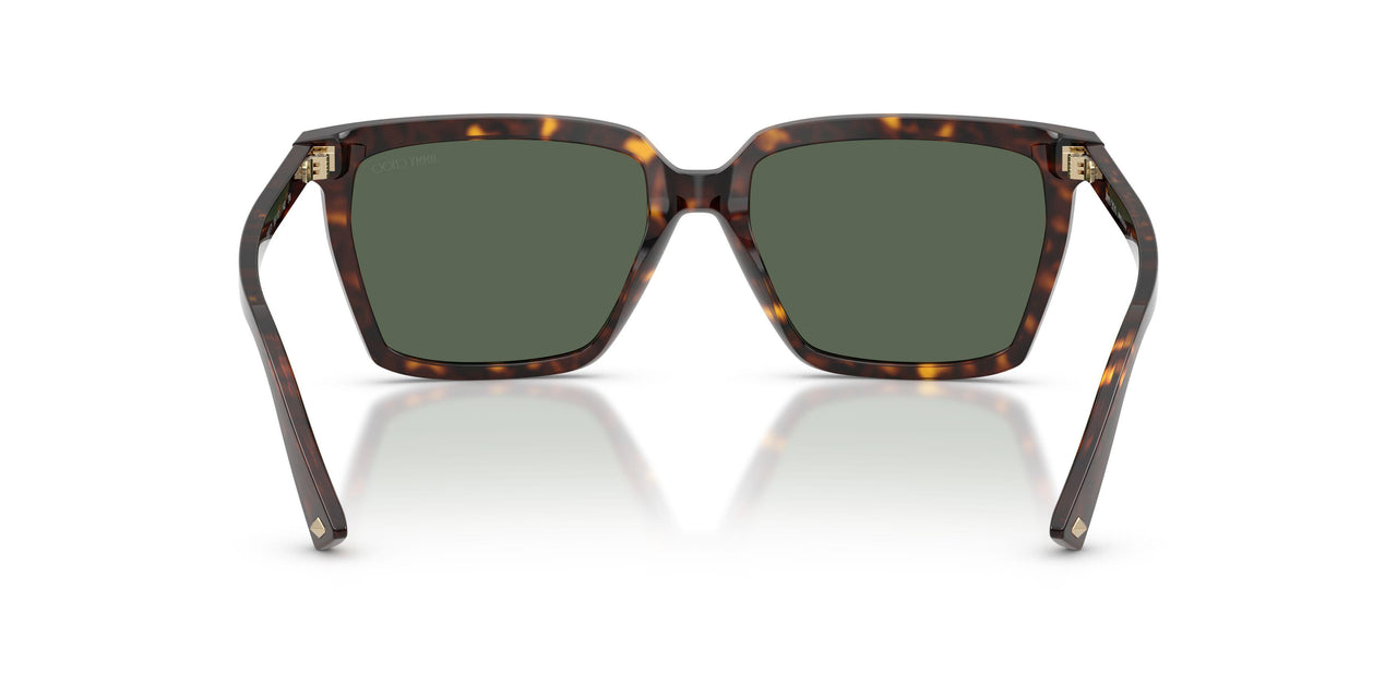 500271 - Tortoise - Dark Green