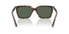 500271 - Tortoise - Dark Green
