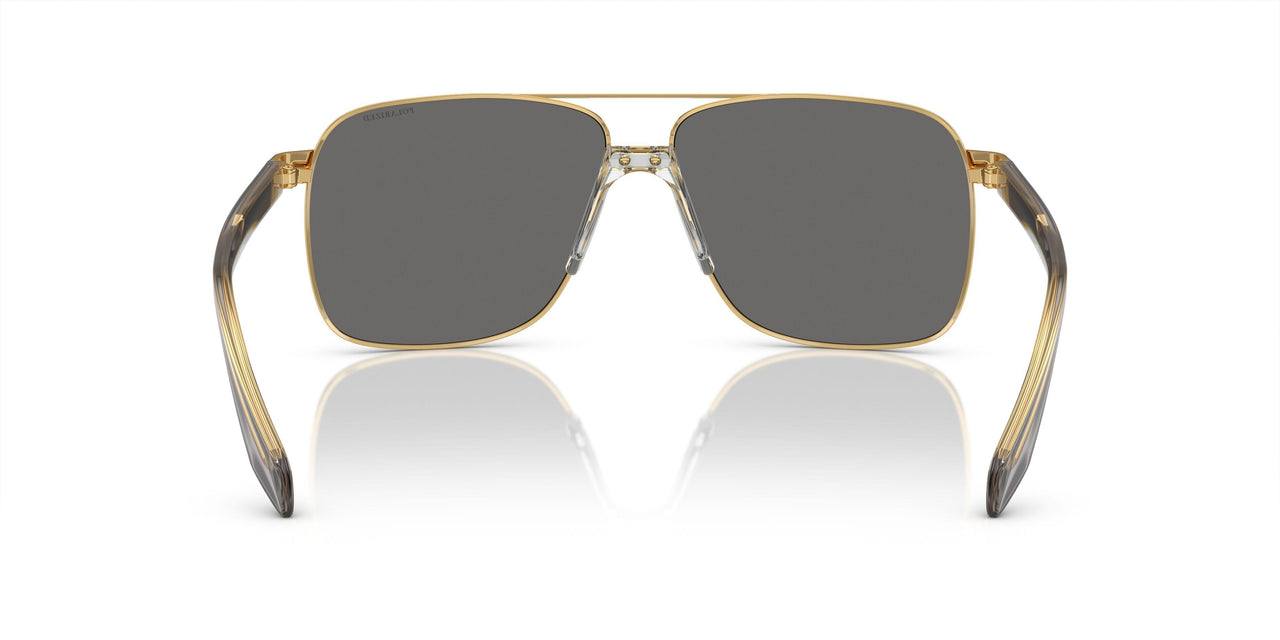 1002Z3 - Gold - Dk Grey Mirror Silver Polar