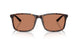 502673 - Tortoise - Brown