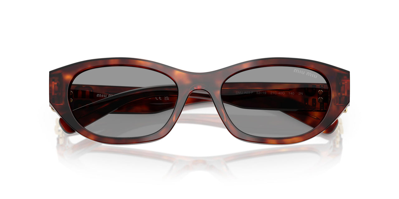 21C40O - Tortoise - Grey