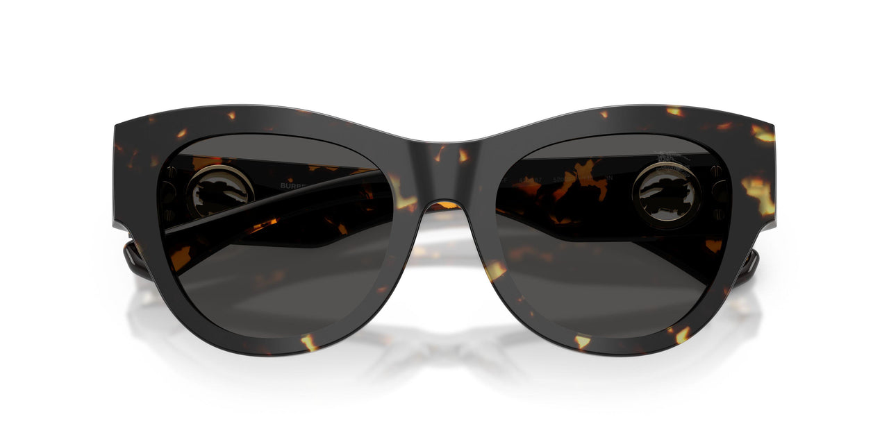 410687 - Tortoise - Dark Grey
