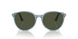 120431 - Blue - Green