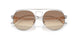 319/13 - Tortoise - Gradient Dark Brown