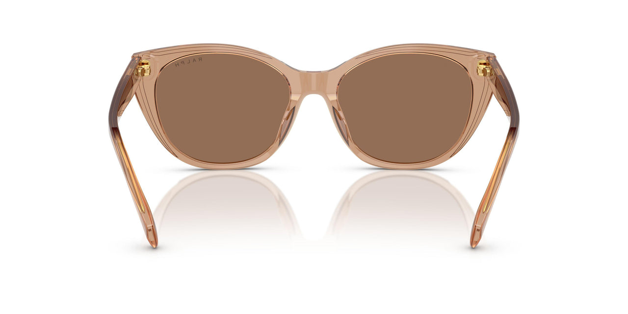 582673 - Brown - Brown