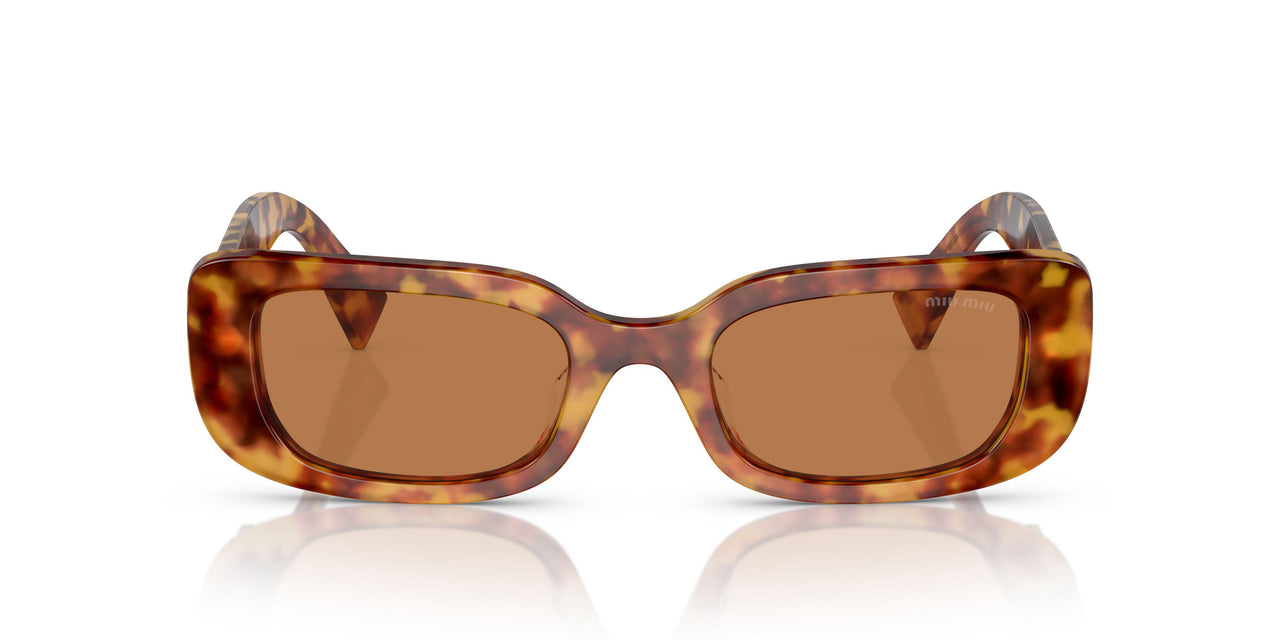 4BW2Z1 - Tortoise - Brown
