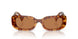 4BW2Z1 - Tortoise - Brown