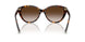 80153B - Tortoise - Brown Gradient