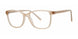 CCNTMTT - Coconut Matte