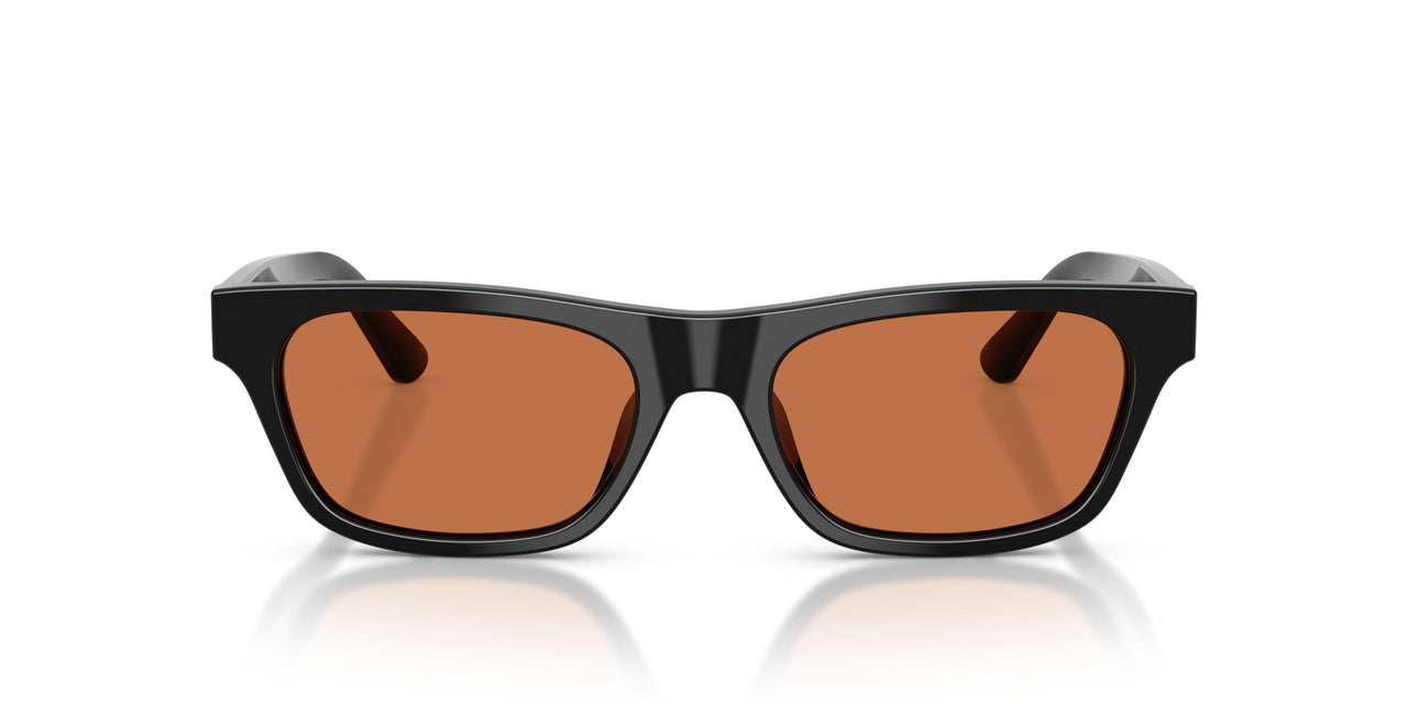 500173 - Black - Brown
