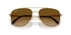9265M2 - Gold - Brown Gradient Polarized