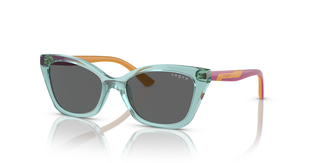 303287 - Transparent Sage - Dark Grey