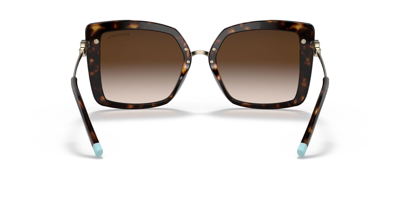 80153B - Havana - Gradient Brown
