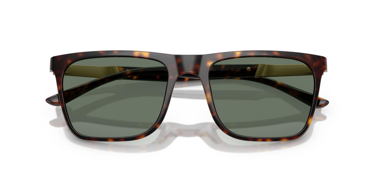 61613H - Tortoise - Dark Green Solid