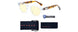 08701 - Crystal Tortoise - Amber