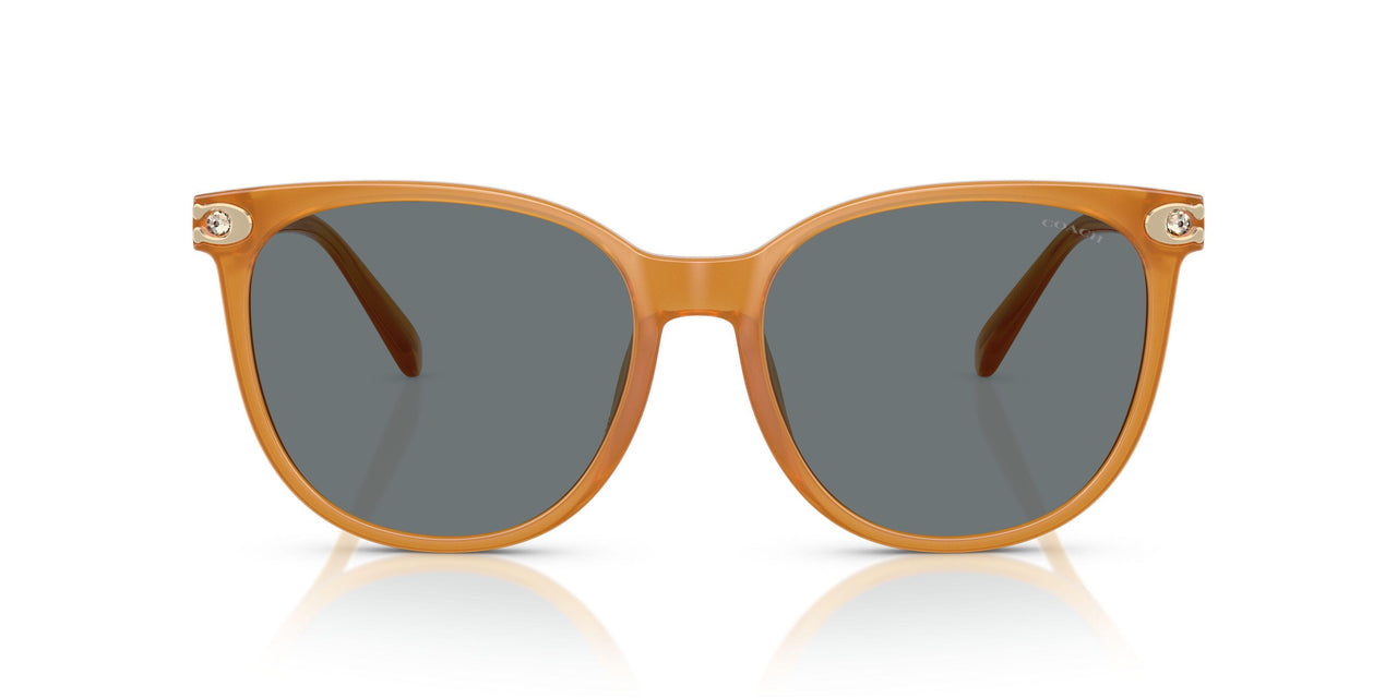 585580 - Orange - Grey Solid