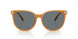 585580 - Orange - Grey Solid