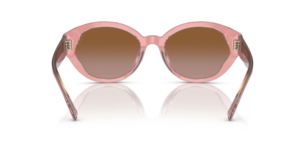 574313 - Pink - Brown Gradient
