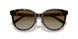 8015T5 - Tortoise - Polar Brown Gradient