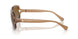 5561T5 - Brown - Brown Grey Gradient Polar