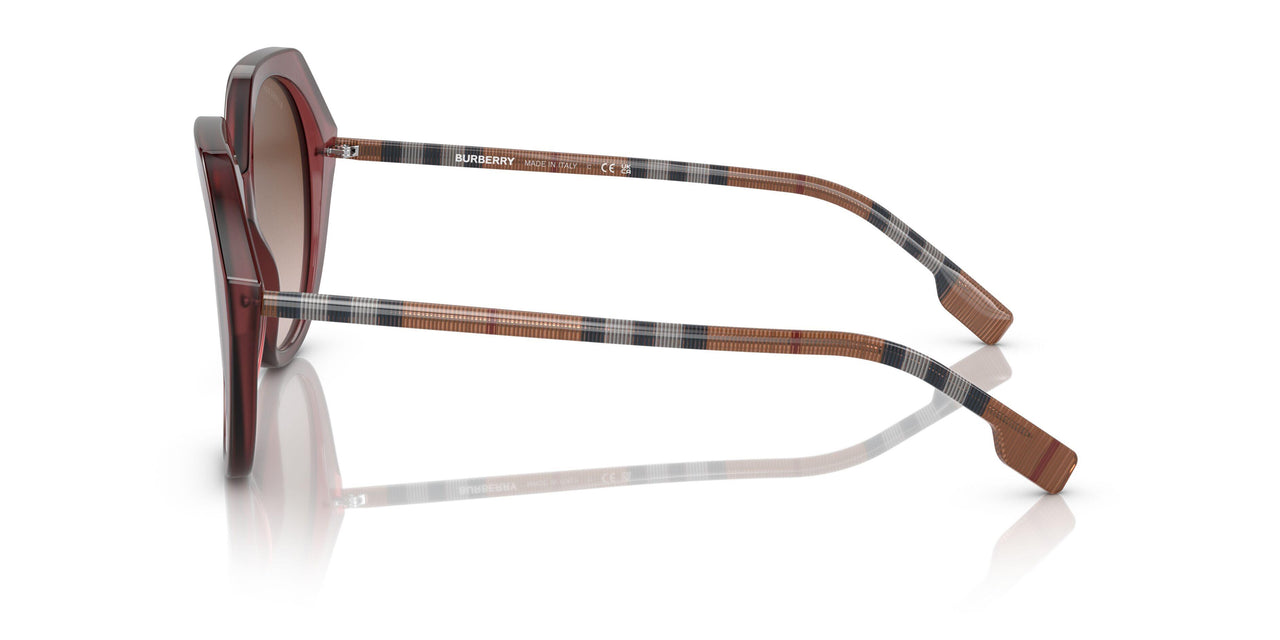 401813 - Bordeaux - Brown Gradient