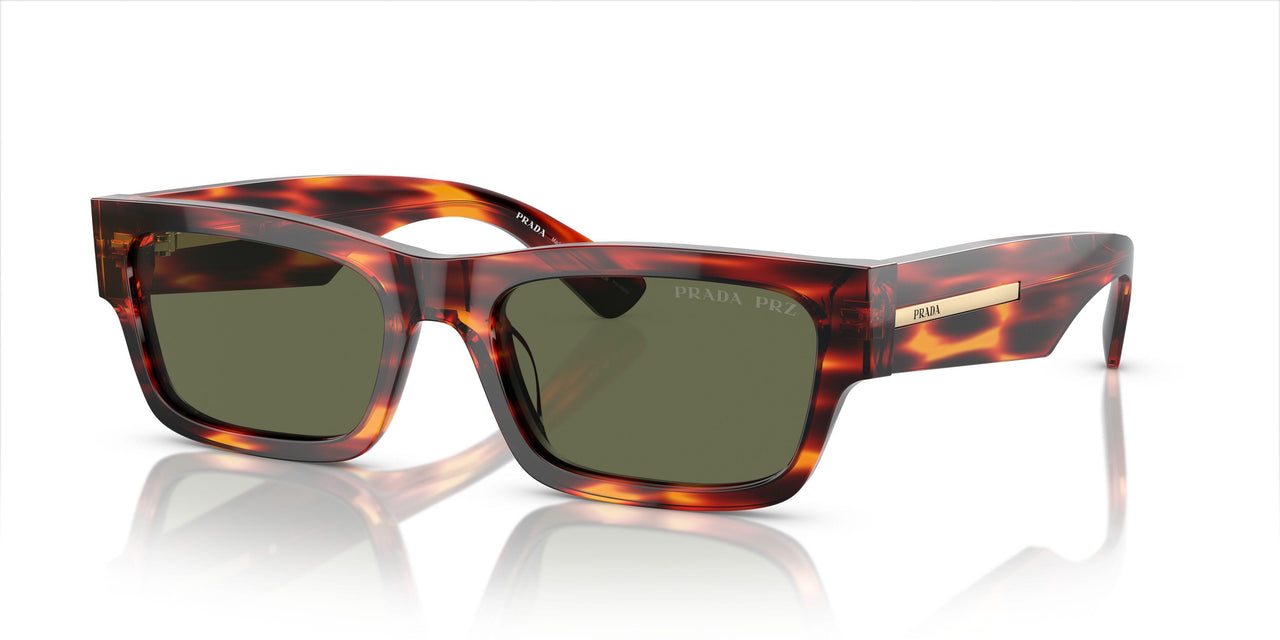 13O03R - Brown - Green Polar