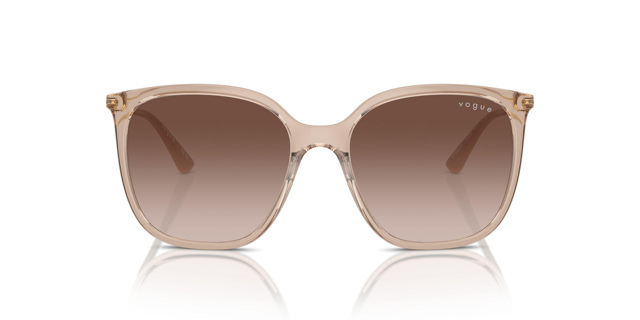 315113 - Brown - Brown Gradient