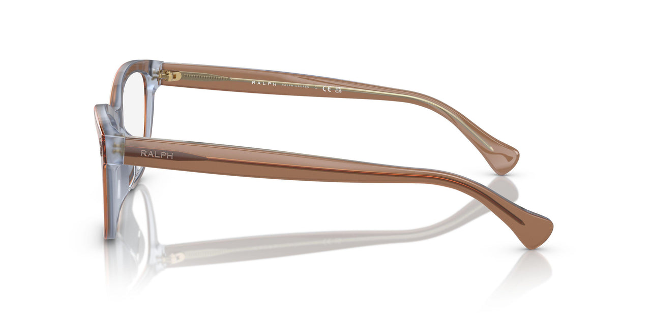 6067 - Brown