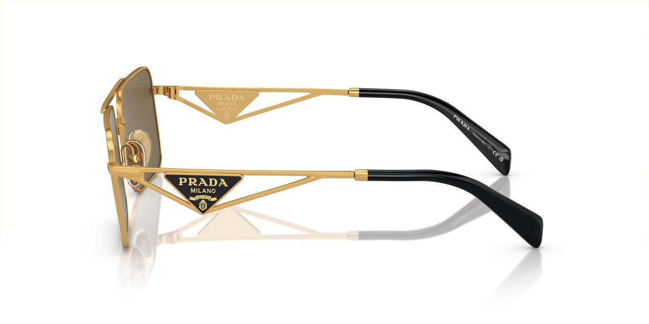 15N01T - Gold - Dark Brown