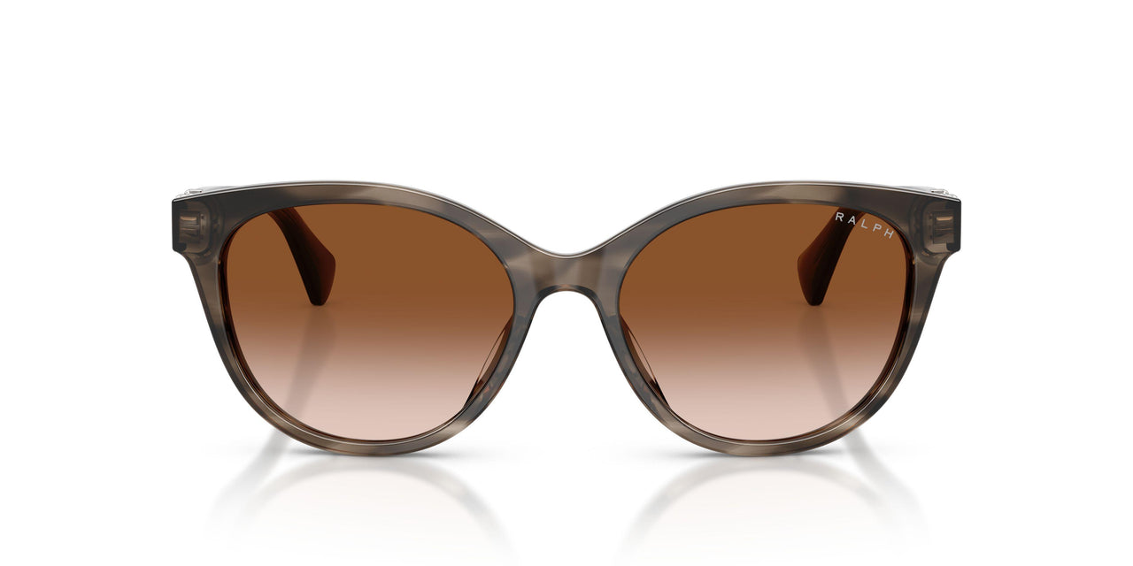 638313 - Grey - Gradient Brown