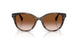 638313 - Grey - Gradient Brown
