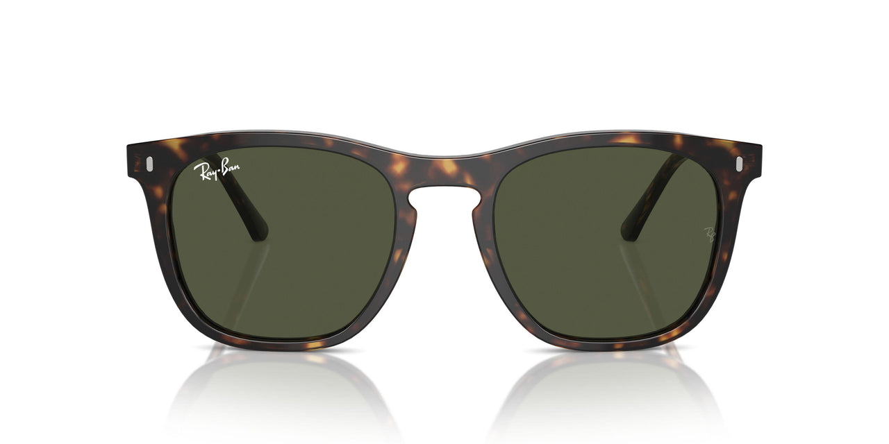 902/31 - Tortoise - Green