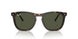 902/31 - Tortoise - Green