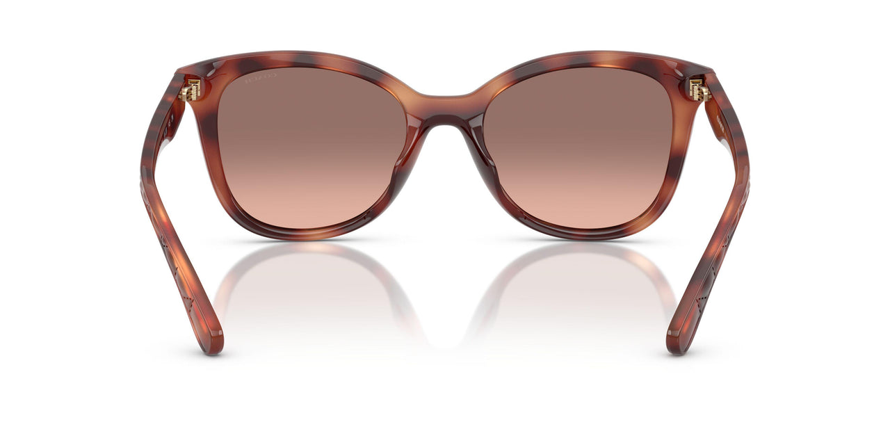 577413 - Tortoise - Brown Pink Gradient