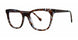 BRWNTRTSBRWN - Brown Tortoise/Brown