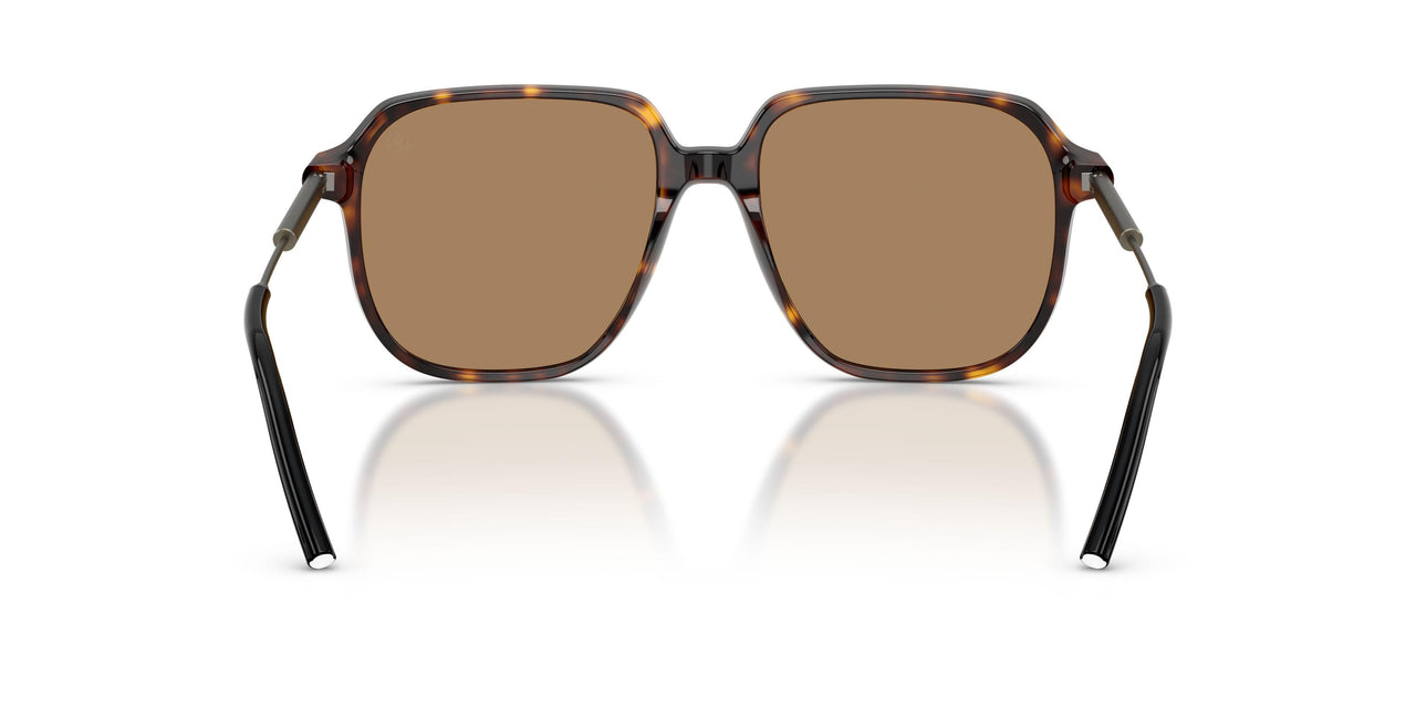 3002M4 - Tortoise - Brown Solid