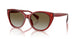 621013 - Violet - Gradient Brown
