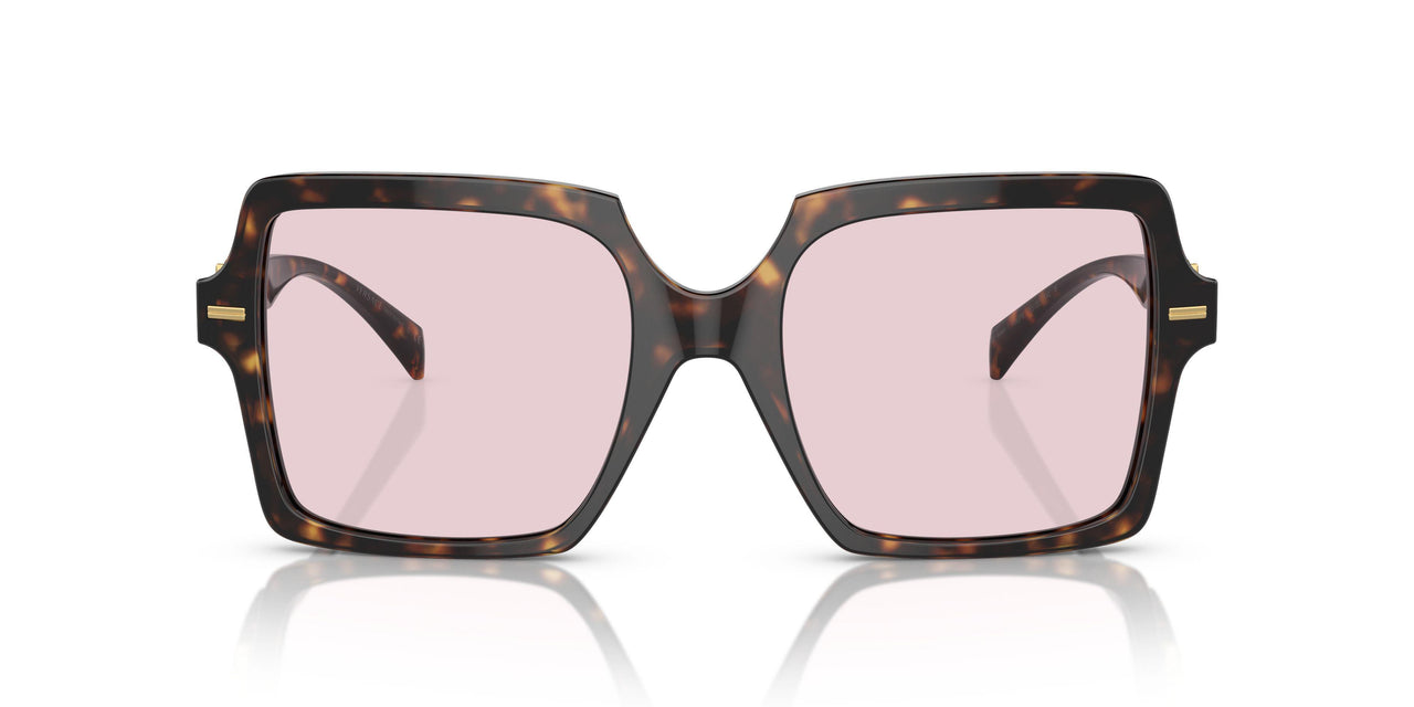 108/P5 - Tortoise - Photo Pink