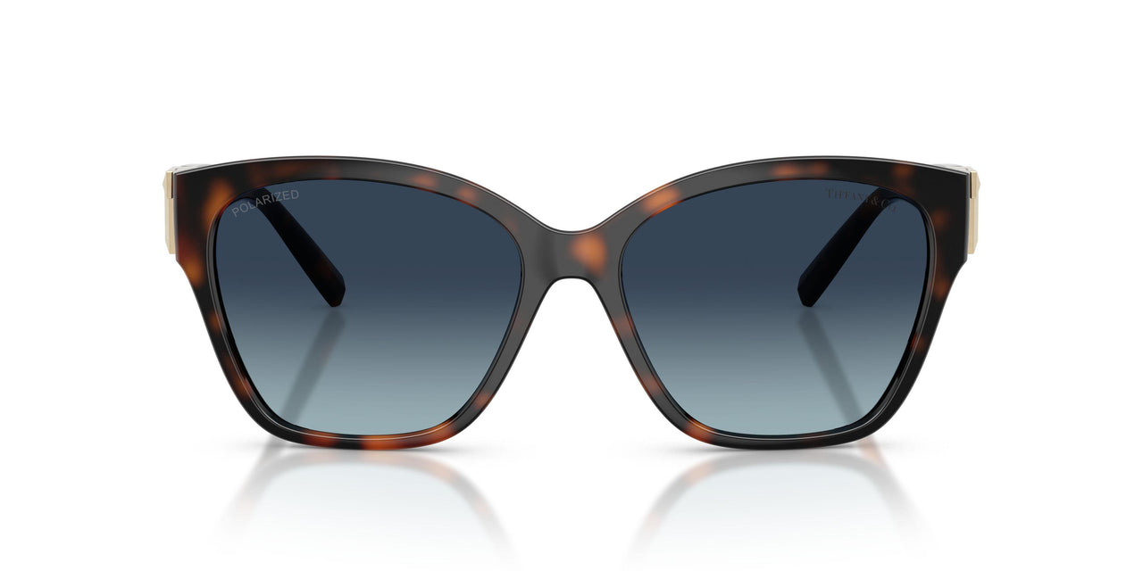 84554U - Tortoise - Azure Gradient Blue Polarized