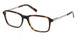 ABERCROMBIE & FITCH 50043 Eyeglasses
