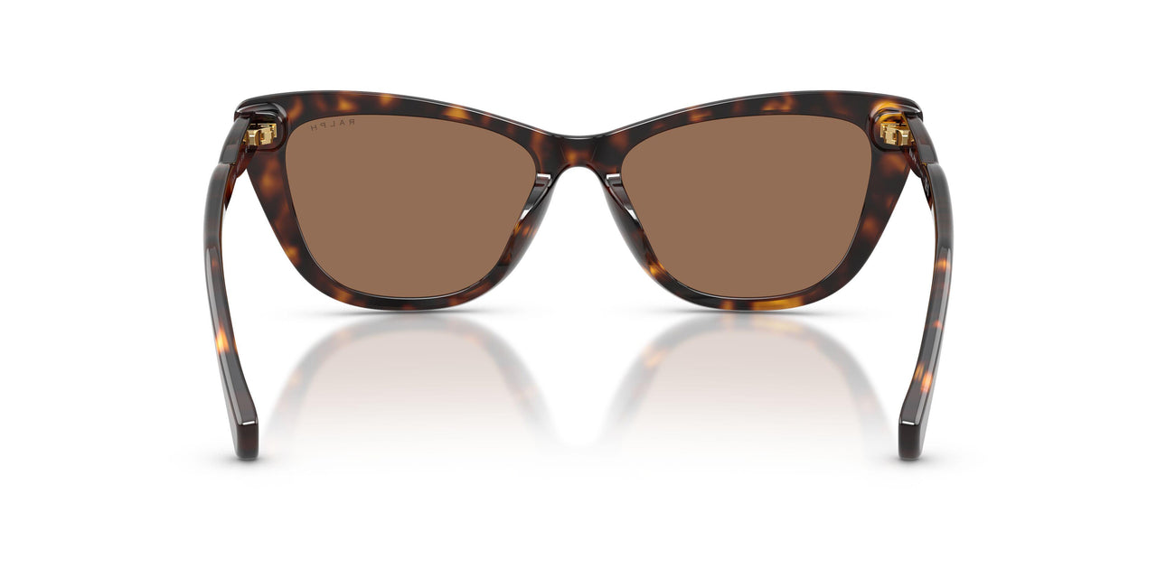 500373 - Tortoise - Brown