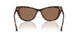 500373 - Tortoise - Brown