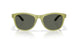 910813 - Green - Gray