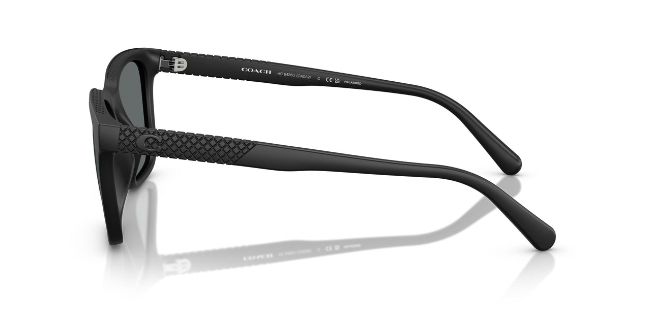500281 - Black - Grey Solid Polar