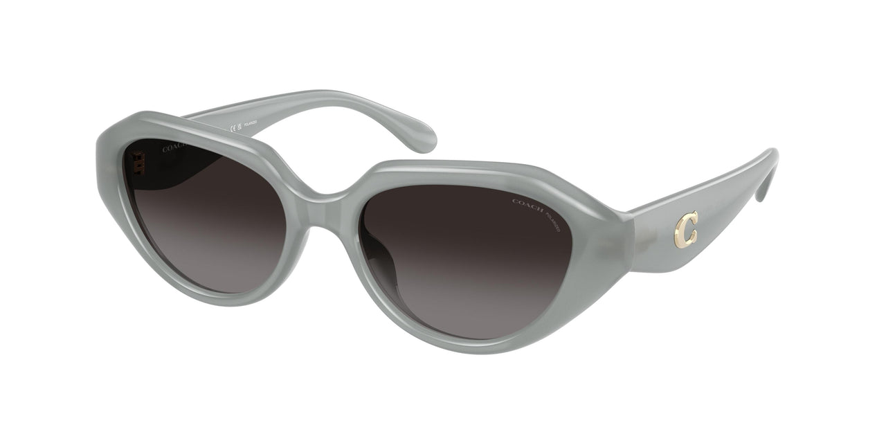 Coach Cby77 8433U Sunglasses